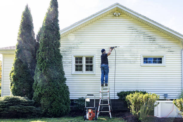 Best Patio and Deck Pressure Washing  in Starbuck, MN